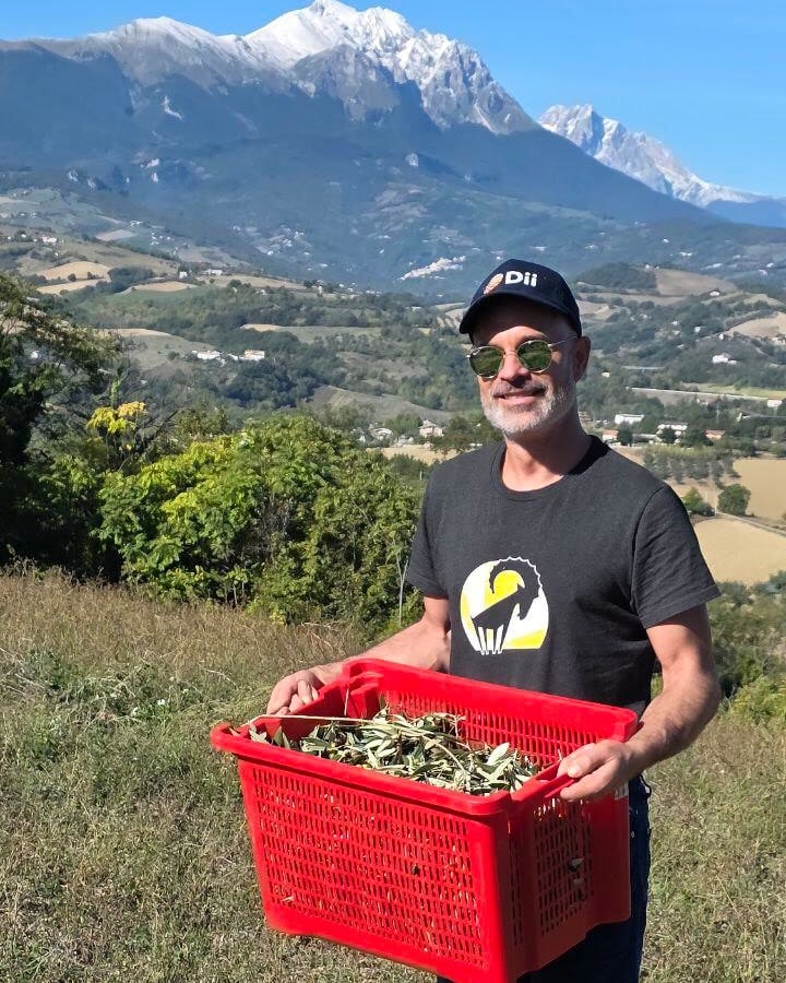 Una cassetta rossa colma di olive, il massiccio del Gran Sasso dietro