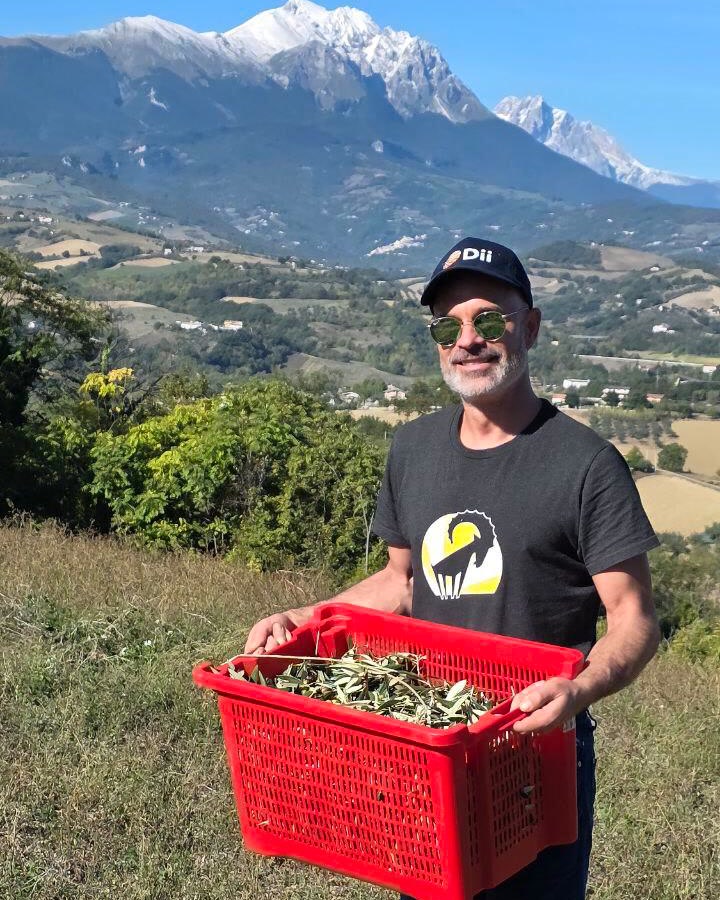 Una cassetta rossa colma di olive, il massiccio del Gran Sasso dietro